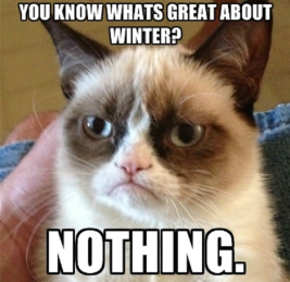Grumpy-cat-hates-winter